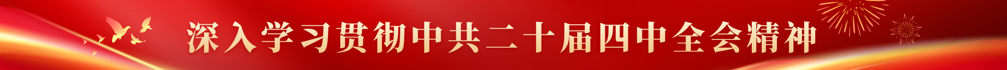 深入学习贯彻中共二十届四中全会精神