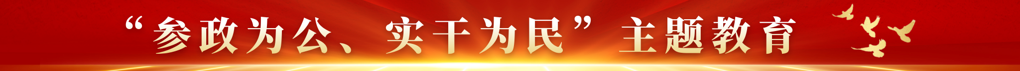 “参政为公、实干为民”主题教育